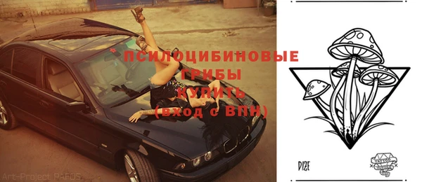 таблы Ладушкин
