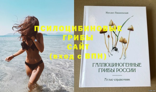 марки nbome Лабытнанги