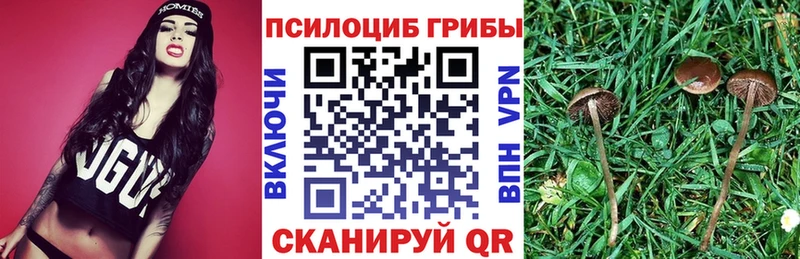 Галлюциногенные грибы GOLDEN TEACHER  Купить где  Вихоревка 